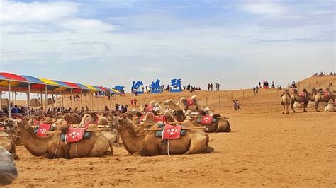 Zhongwei's Mysterious Shapotou: A Desert Wonderland Where You Can Ride Camels and Conquer Sand Dunes!