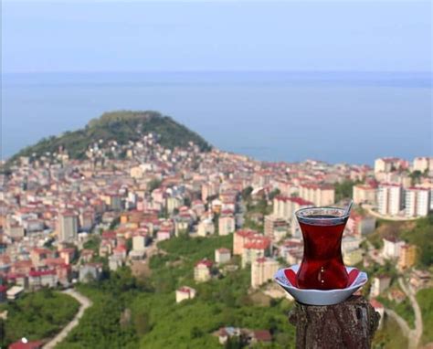   Beigongshan Parkı: Tarih Kokan Muhteşem Manzaralar İçin İdeal Bir Destinasyon!