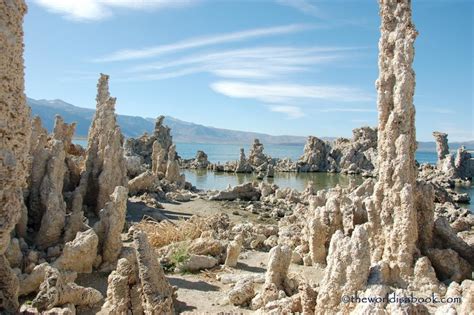 Mazhen Mountain Tufa Forest: Gizemli Bir Yolculuk ve Doğal Bir Şaheser!