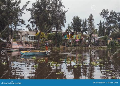 Xochimilco Canals: Rengarenk Çiçeklerle Süslenmiş, Müzikle Dolup Taşmış Tarihi Bir Yolculuk!